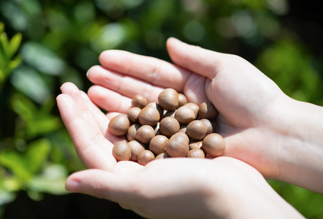 Мыло для ухода за кожей с маслом семян чая (обычное) SOL. МЫЛО ДЛЯ ЛИЦА РУЧНОЙ РАБОТЫ № 1: SOL