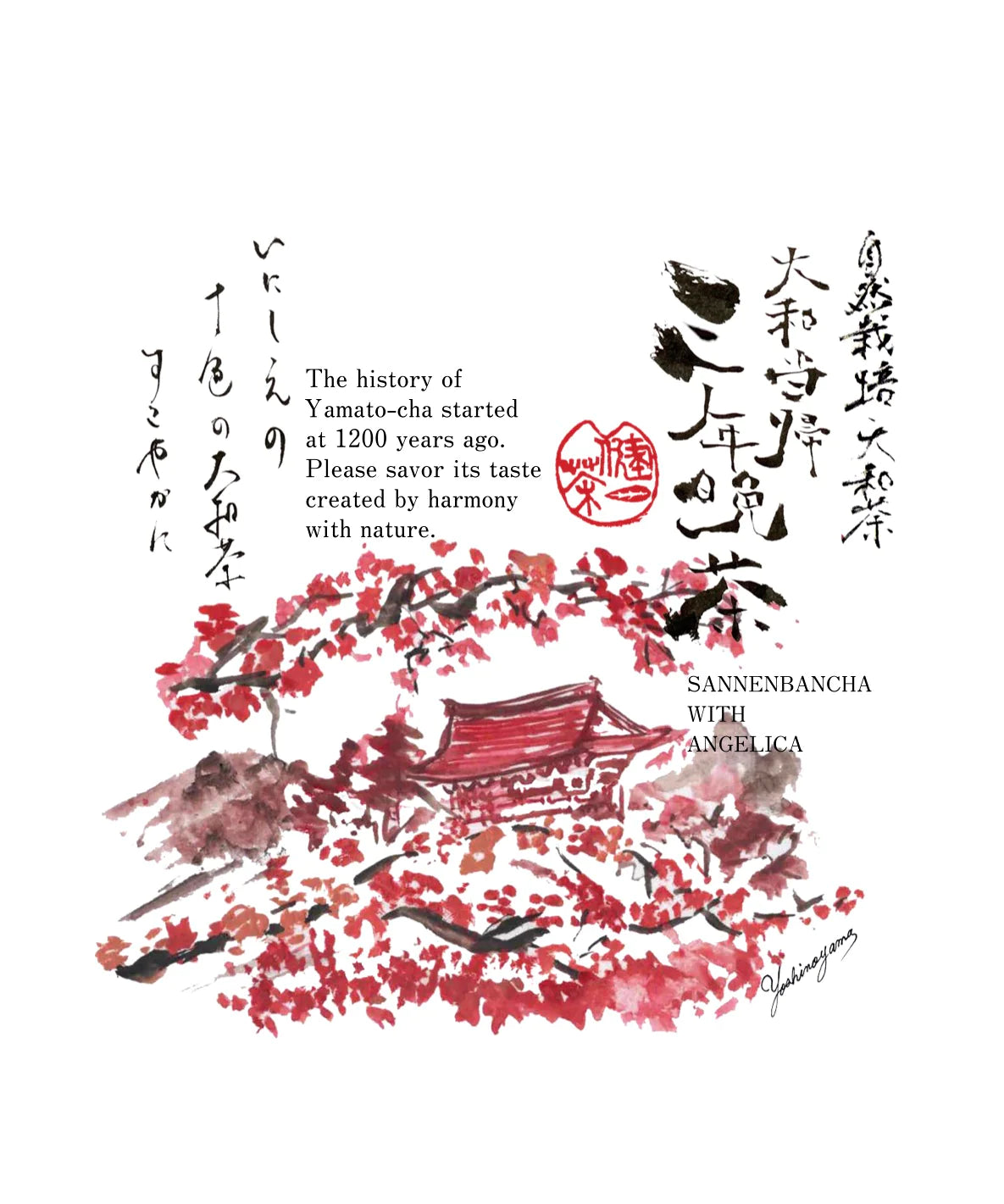 十色の大和茶　（ティーバッグ3個のシリーズ）　/   健一自然農園