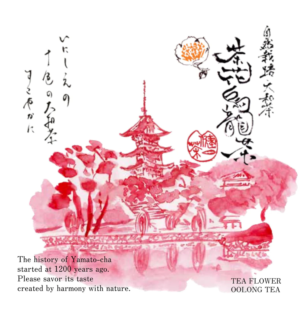 十色の大和茶　（ティーバッグ3個のシリーズ）　/   健一自然農園